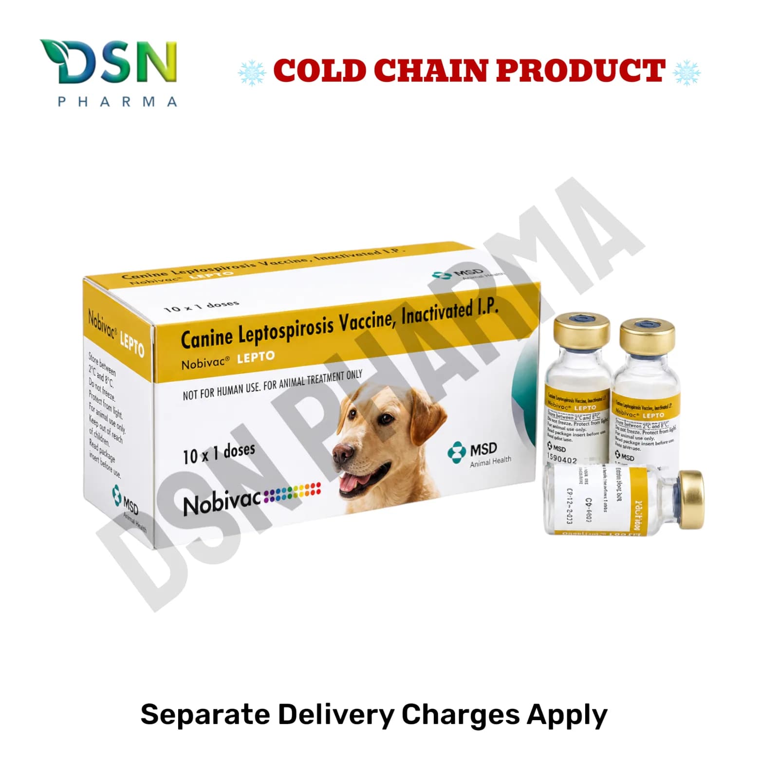 NOBIVAC DOG VACCINE DHPPI+NOBIVAC LEPTO